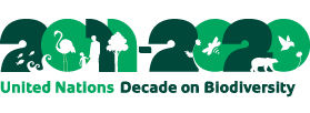 国連生物多様性の10年 ロゴ